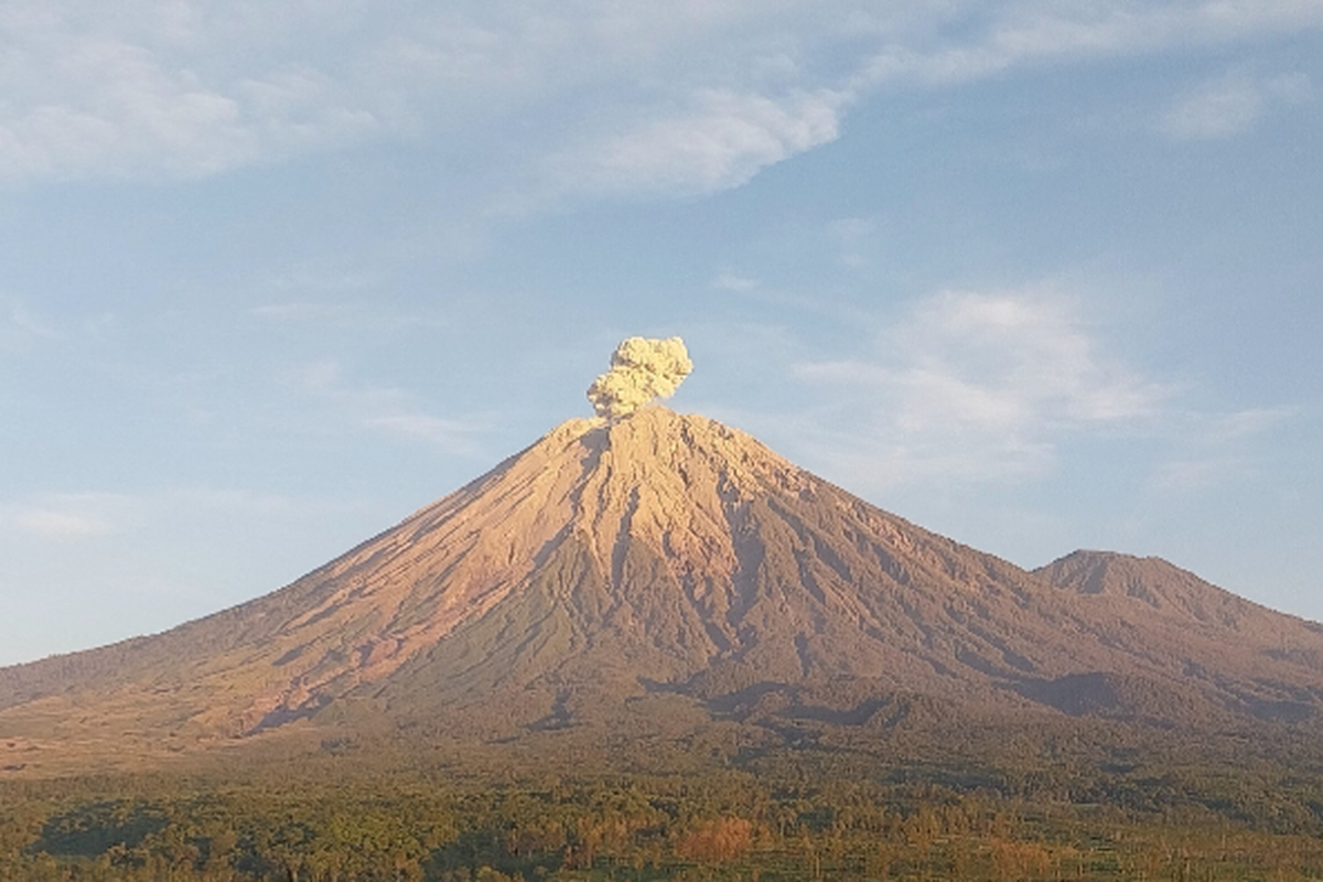 Gunung Semeru Erupsi 4 Kali di Minggu Pagi, Kolom Abu Capai 800 Meter